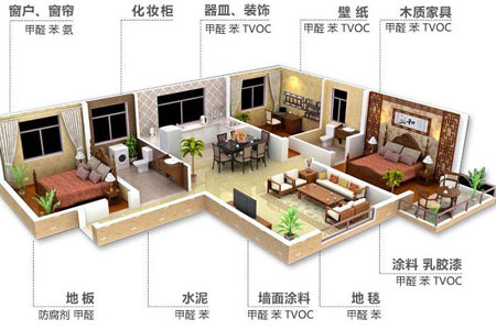 除甲醛公司